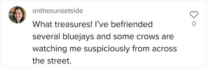 This Woman Befriended The Crows And Now Receives The Most Random Gifts As A Token Of Appreciation