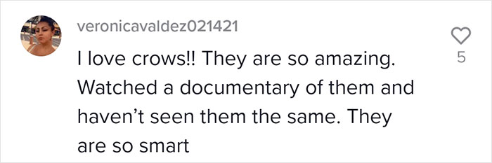 This Woman Befriended The Crows And Now Receives The Most Random Gifts As A Token Of Appreciation