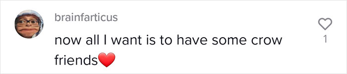 This Woman Befriended The Crows And Now Receives The Most Random Gifts As A Token Of Appreciation