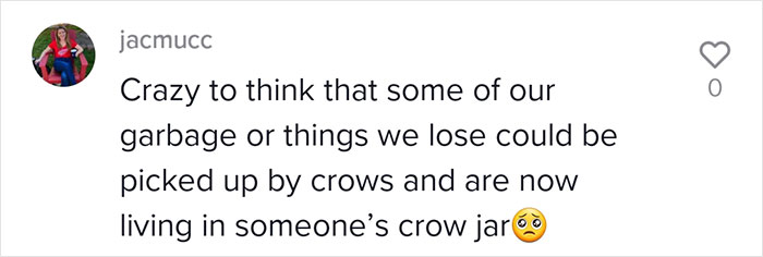 This Woman Befriended The Crows And Now Receives The Most Random Gifts As A Token Of Appreciation