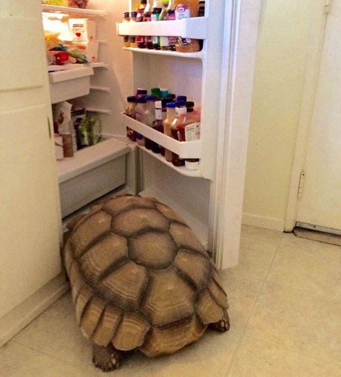 Me When I'm In Exams Period