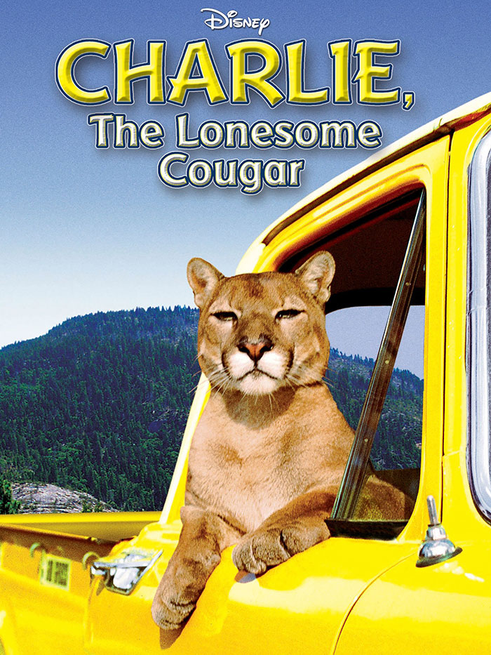 Charlie, The Lonesome Cougar