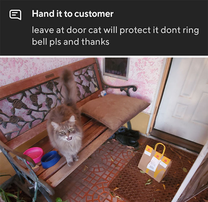 This Was So Cute To Me This Morning