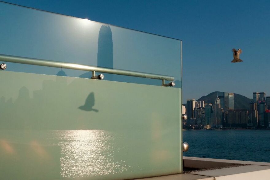 Photographer Continues To Roam The Streets Capturing Improbable Coincidences (59 New Pics)