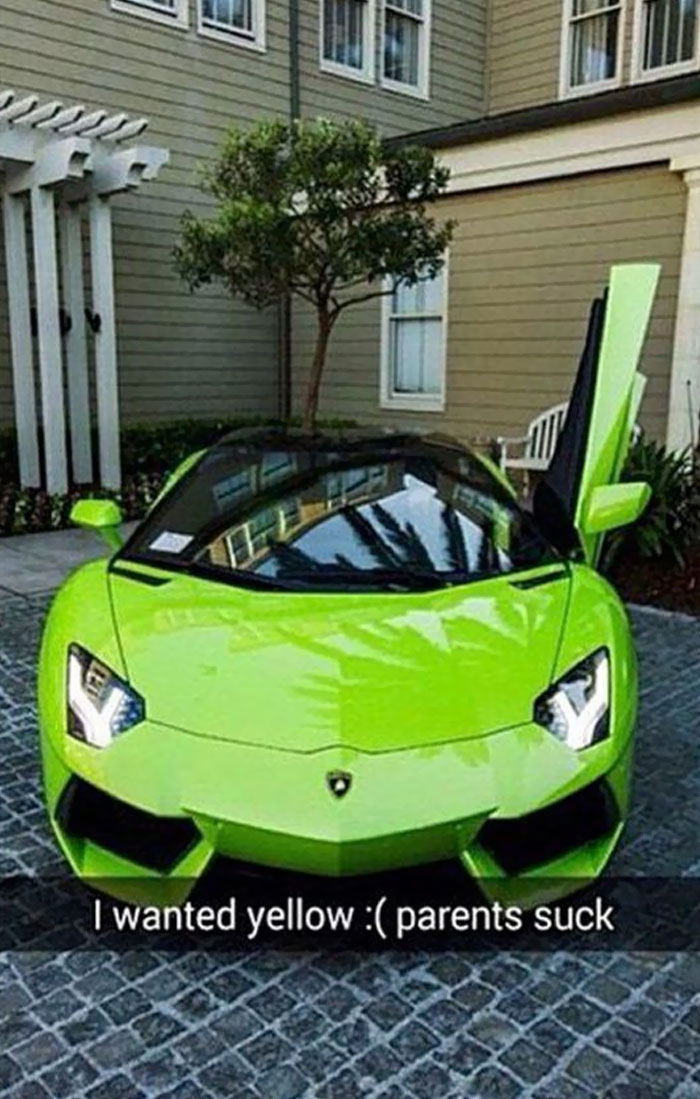 Bumblebee Didn’t Want To Be In Their Possession