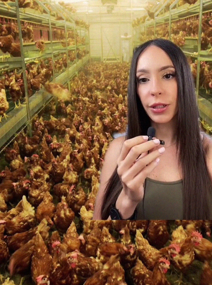 TikToker comparte 6 oscuros secretos de la industria alimentaria que probablemente no quieren que sepamos