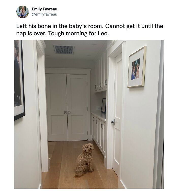 Funniest-The-Dad-Online-Tweets-Memes