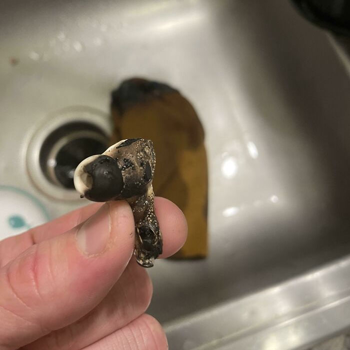 Took Off My Beanie And Airpod To Set Them On The Table When I Got Home From Work. Did Not Notice The Candle Underneath