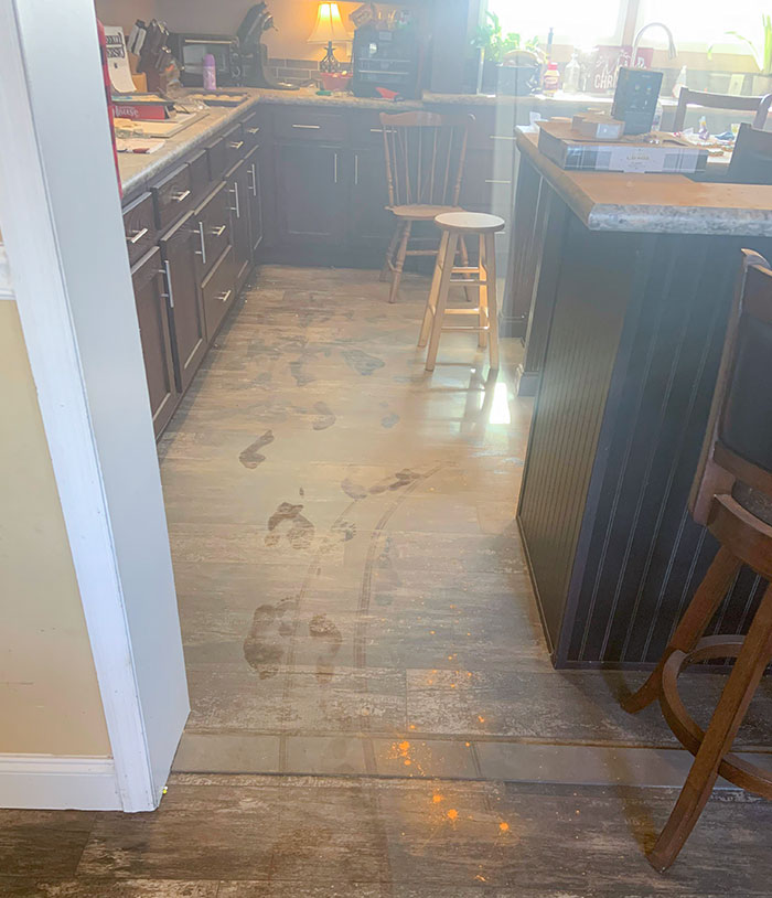 My Sister-In-Law Thought She Bought A Confetti Cannon To Prank Me