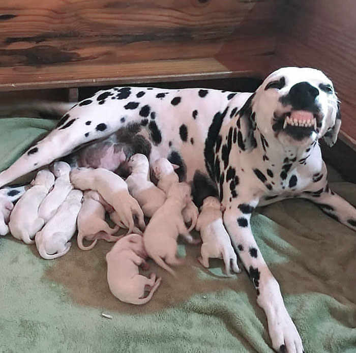 Proud Momma