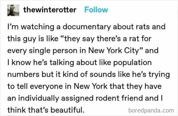 Individually Assigned Rodent Friend