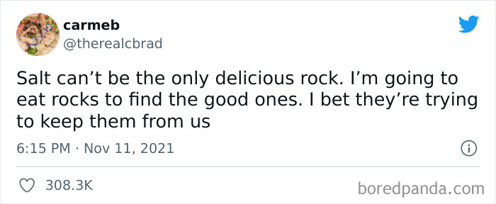 I'm Going To Eat Rocks To Find The Good Ones