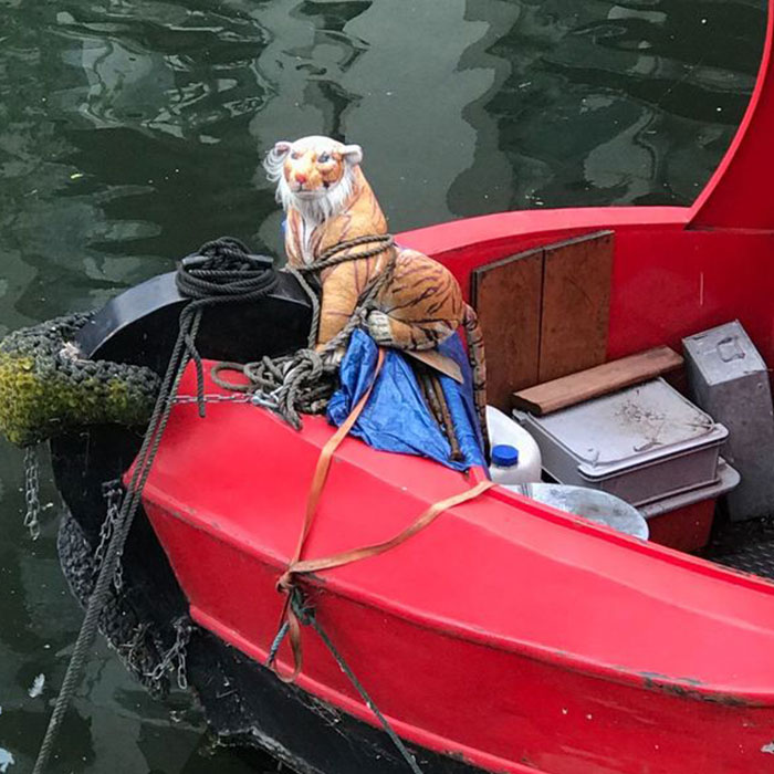 RSPCA Reveals Its Funniest Emergency Calls Of 2021