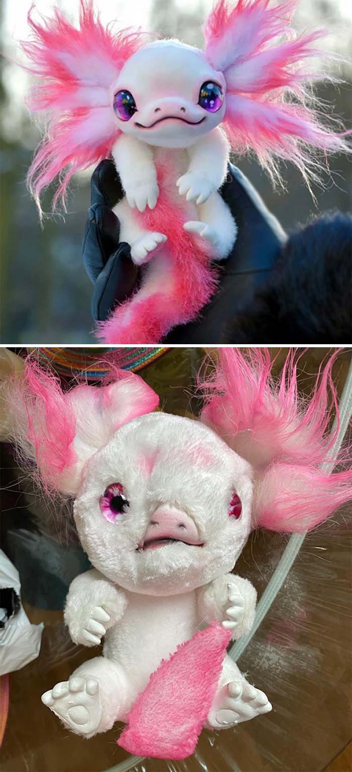 Axolotl Arrived In The Mail