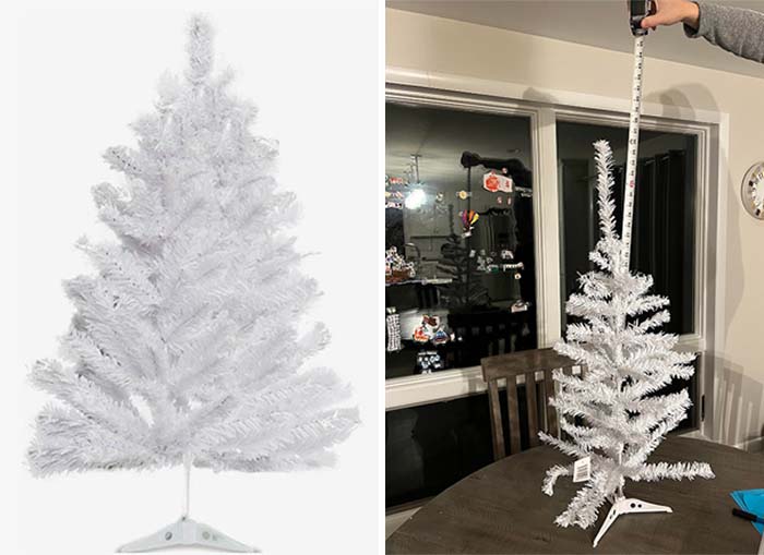 Don’t Worry, The Tree Is Three Feet Like It Had Said Online