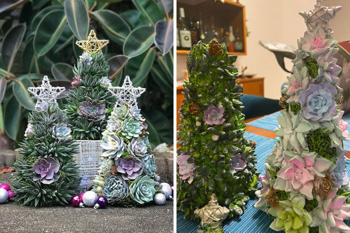 Be Careful Where You Order From. What My Mom Ordered For Me. What I Got