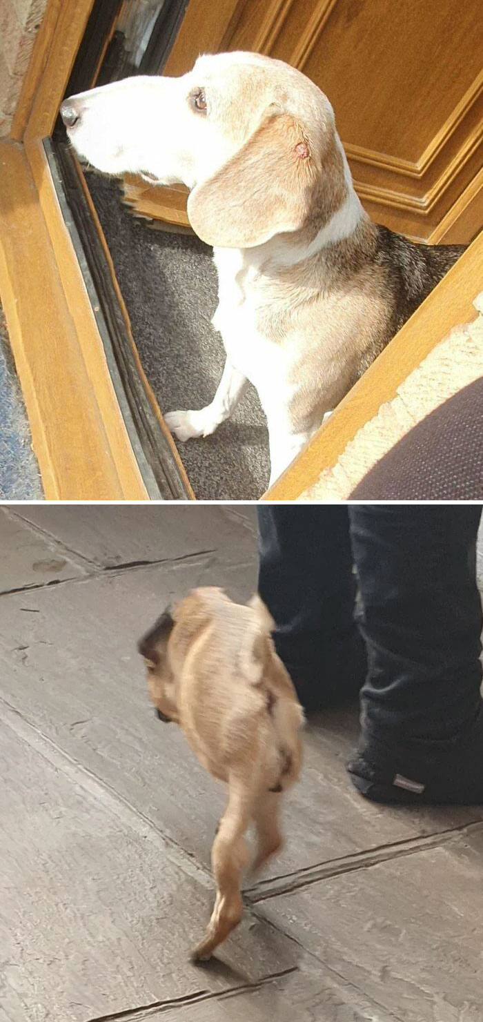 What Is Going On With Them?