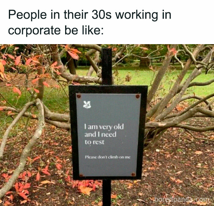 Funny-Workplace-Memes