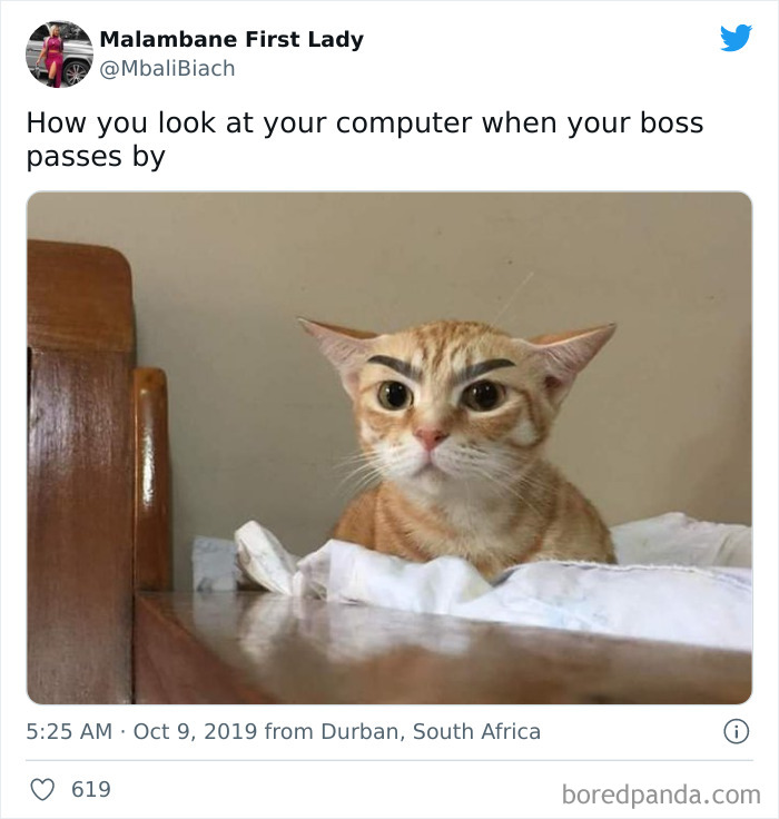 Funny-Workplace-Memes