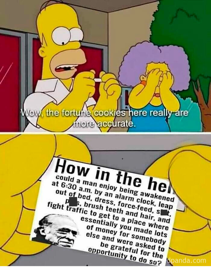 We Were Better Off As Apes In The Trees