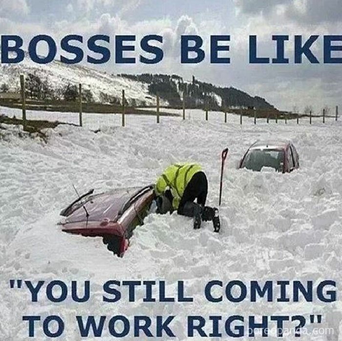 Funny-Workplace-Memes