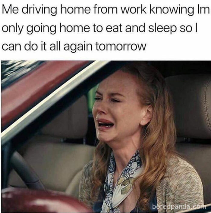 Funny-Workplace-Memes