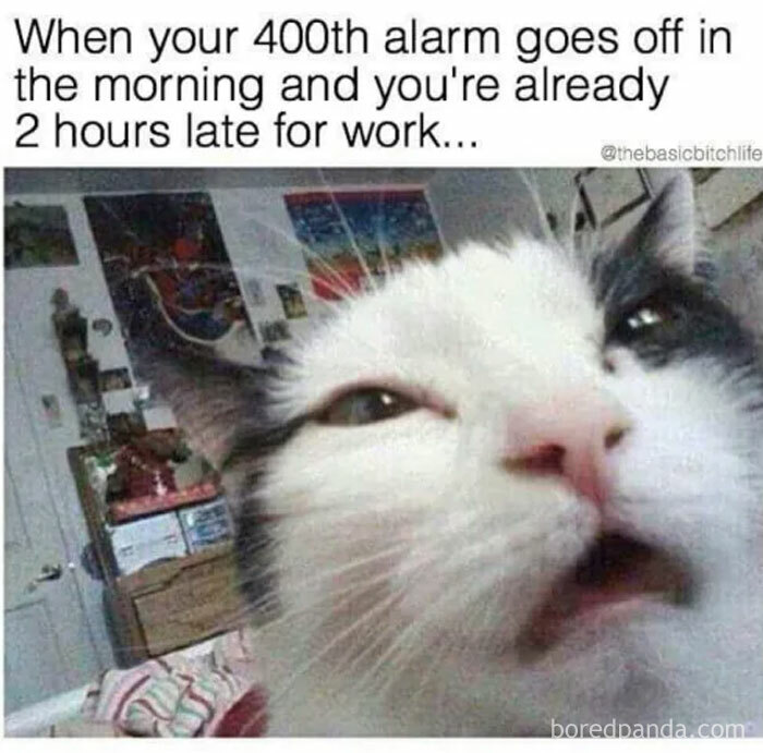 Funny-Workplace-Memes