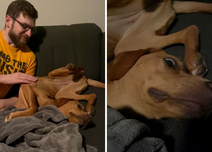 She Just Kinda Slid Down The Couch Arm That Way And Stayed