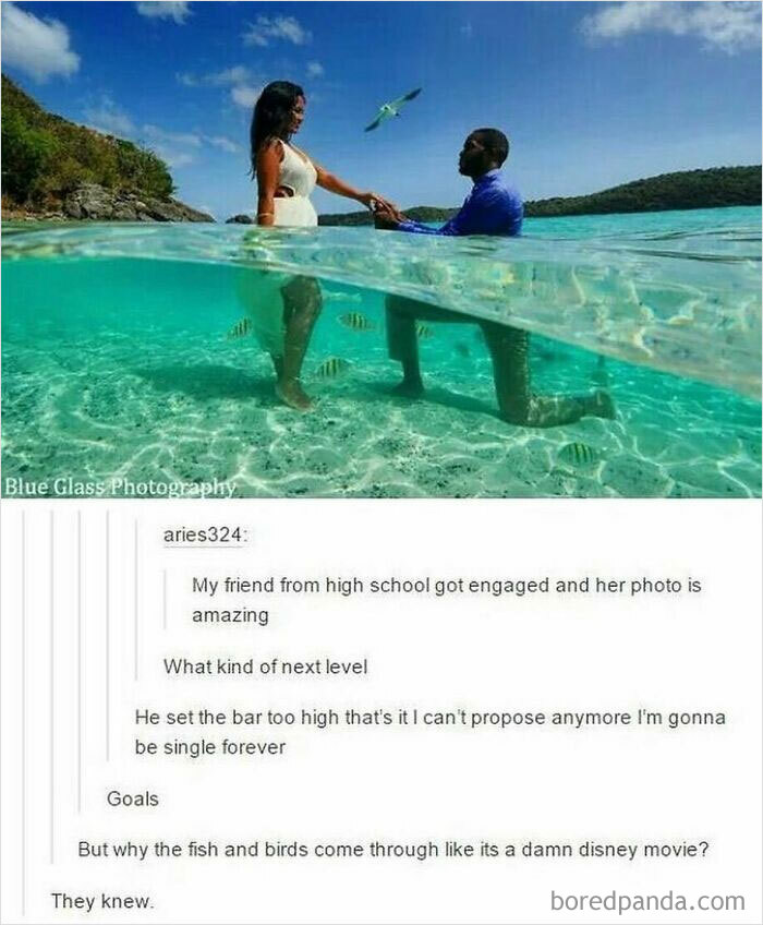 Humans-Of-Tumblr-Funny-Posts