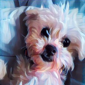 donnaparmelee avatar