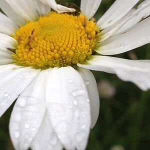 kristofferthessman avatar