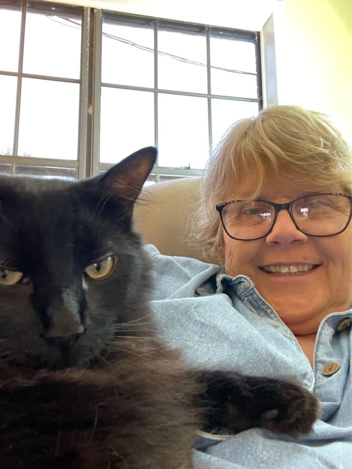 My Cats And I Spent New Years Eve Together. It Was A Very Pleasant Evening.