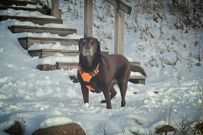 13 And Going Strong!