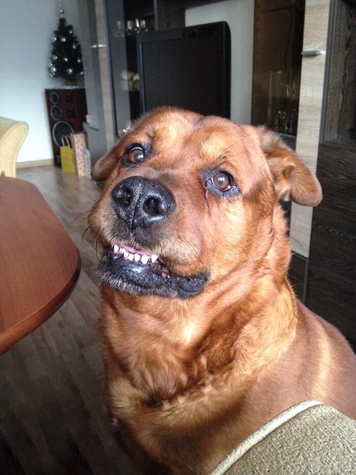 When Not Sure What Just Have Heard…