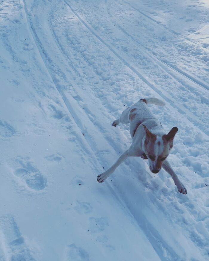 First Time In The Snow. Freak Out!