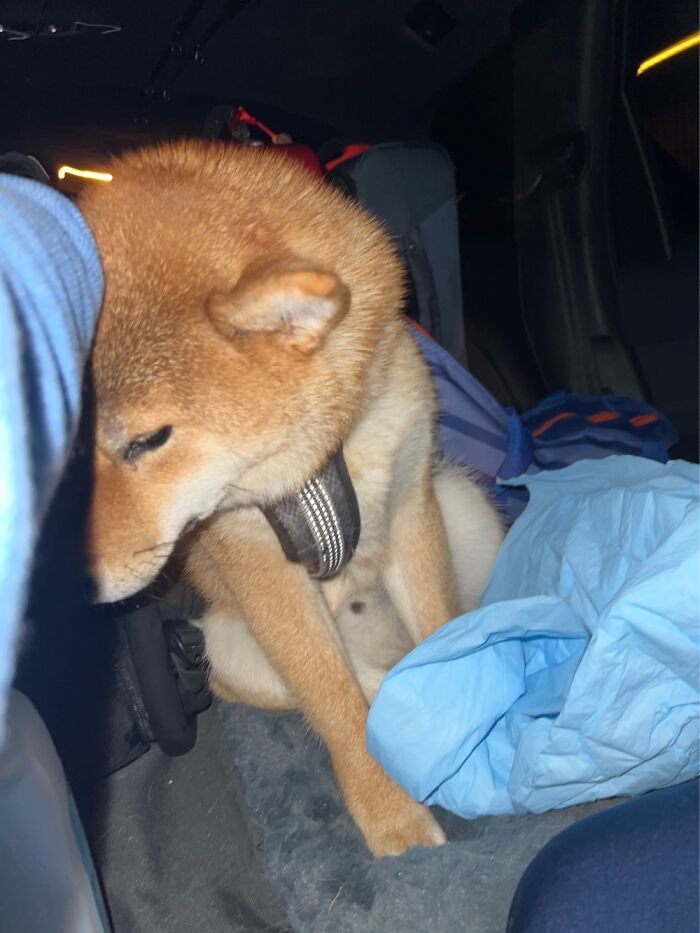 Coming Home From A Road Trip…