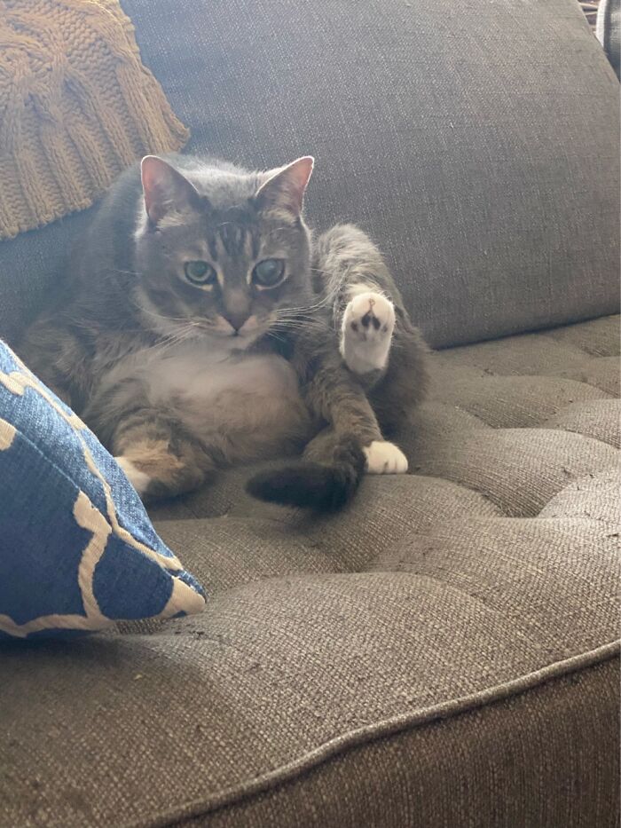 This Is Cameron. He’s A Stone-Cold Atrocity.