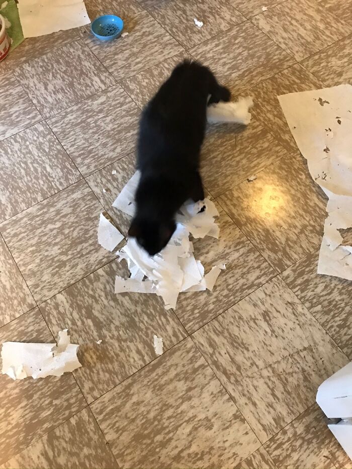 Whaaaaat? Whatchu Looking’ At???