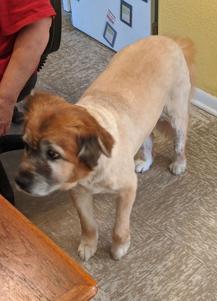 Not Happy About The New Haircut. Wants Everyone To Stop Staring!!