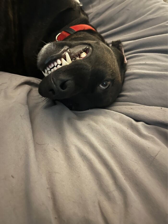 He Has A Pretty Smile And He Knows It