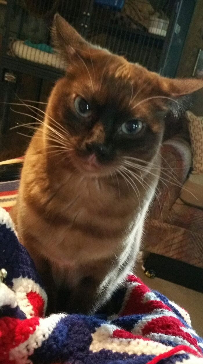 This Is My ‘Happy Face’!