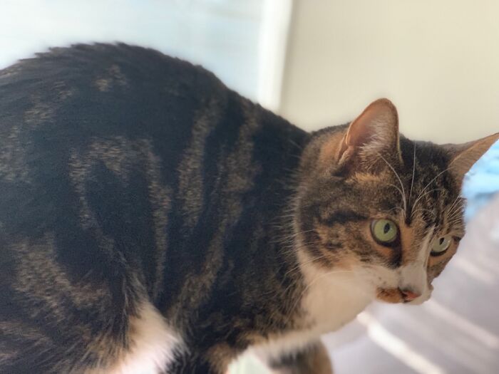 Could I Get A Little Bathroom Privacy.