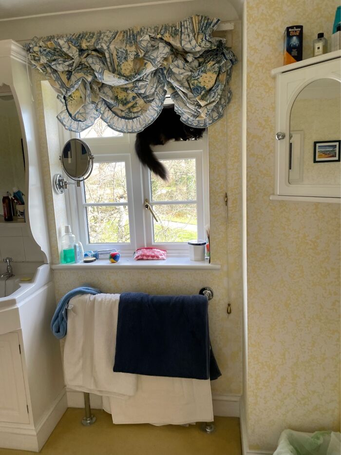 Had A Double Take The Other Morning!