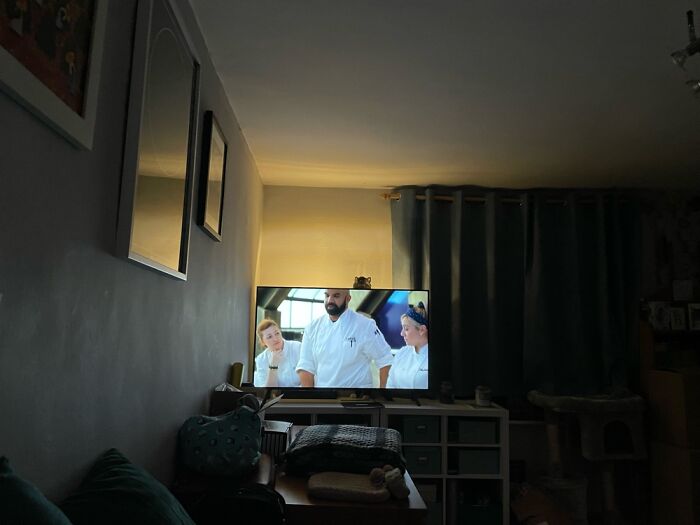 He Saw A Fly On The Ceiling 🙄