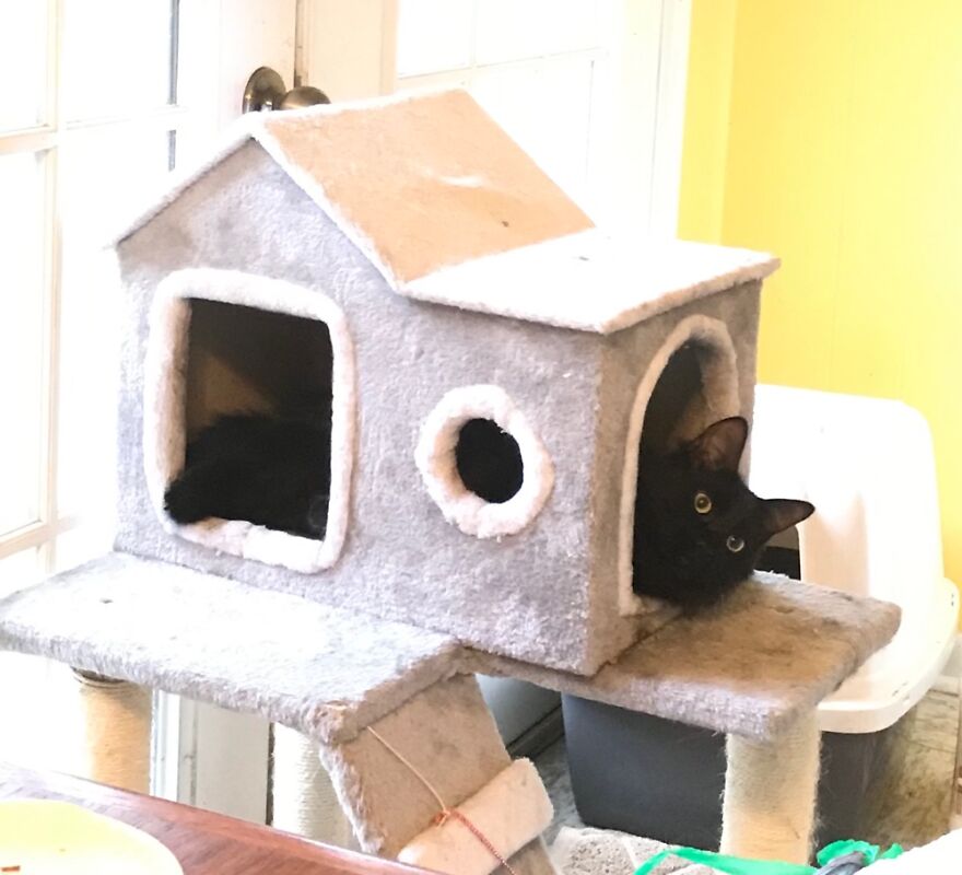 It Was Big - For My Small Kitchen. It Was Expensive - For Me. It Was Hard To Put It To