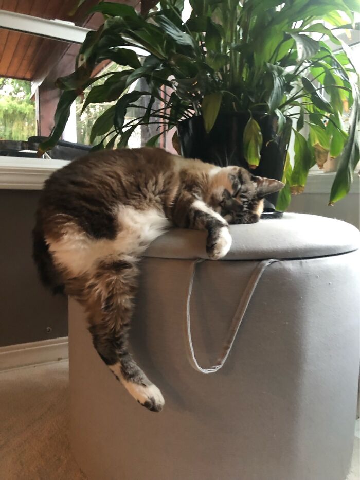 Double Sided Tape Working.