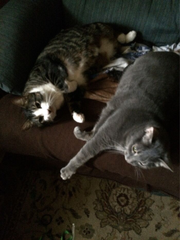 I Only Thought This Was My Recliner.