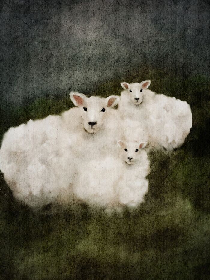 Beatrix Potter Inspired Watercolors Of Cute Baby Animals And Quotes