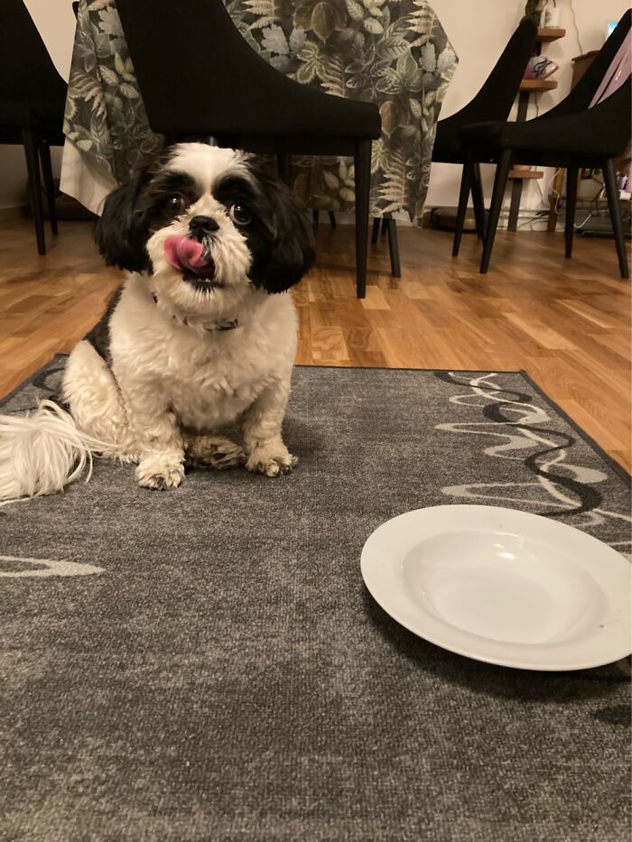 My Plate Is Broken….empty