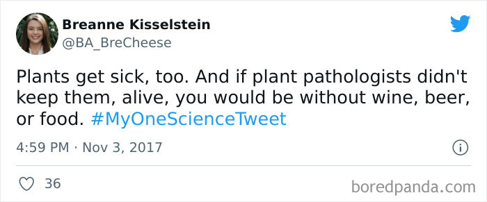 Interesting-Facts-My-One-Science-Tweet